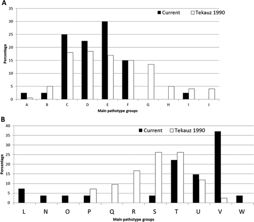 Fig. 3 a, Comparison of the main pathotype groups (A–J) found among Pyrenophora teres f. teres (net form net blotch of barley) populations from western Canada in 1985 (Tekauz Citation1990) versus 2009–2011 (current study). b, Comparison of the main pathotype groups (L–W) found among the Pyrenophora teres f. maculata (spot form net blotch of barley) populations from western Canada in 1985 (Tekauz Citation1990) versus 2009–2011 (current study).