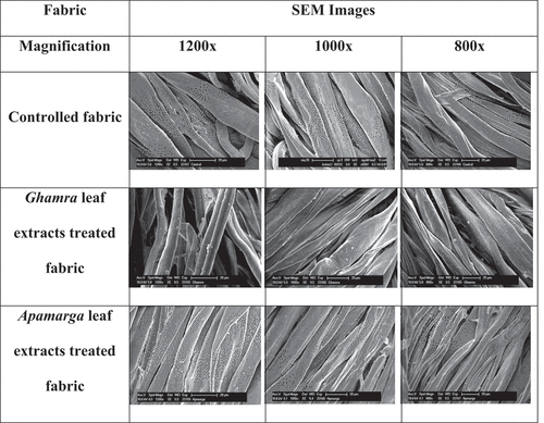 Figure 1. Scanning electron microscopic analysis of finished fabric.