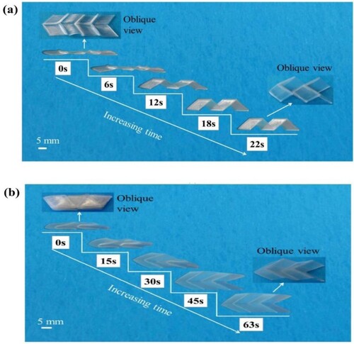 Figure 14. Effect of loading conditions on shape memory of origami structure during (a) unfolding load (b) folding load (Liu et al. Citation2018).