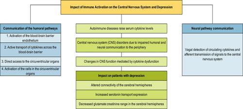 Figure 1 Impact of immune activation on the CNS and the relationship with depression.