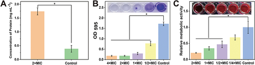 Figure 4 (A) Protein leakage from Methicillin-resistant Staphylococcus aureus (MRSA) suspensions treated with 2 × minimum inhibitory concentration (MIC) of (1,4-DBTPP)Br2 for 2.5 h. Quantification and images (inset) of (1,4-DBTPP)Br2 on MRSA biofilm formation after staining with (B) crystal violet and (C) resazurin (Excitation wavelength: 570 nm, Emission wavelength: 600 nm). Data are mean ± SD, n = 3, Student’s t-test; * p < 0.05 compared to the PBS-treated group.