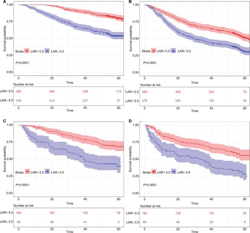 Figure 1 Kaplan–Meier survival curves for patients in the research classified by LAR.Notes: OS curve (A, C) and RFS curve (B, D) for patients with HCC in training cohort and validation cohort respectively.Abbreviations: HCC, hepatocellular carcinoma; LAR, lactic dehydrogenase to albumin ratio; OS, overall survival; RFS, recurrence-free survival.
