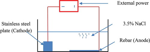 Figure 3. Schematic diagram of accelerated corrosion test setup