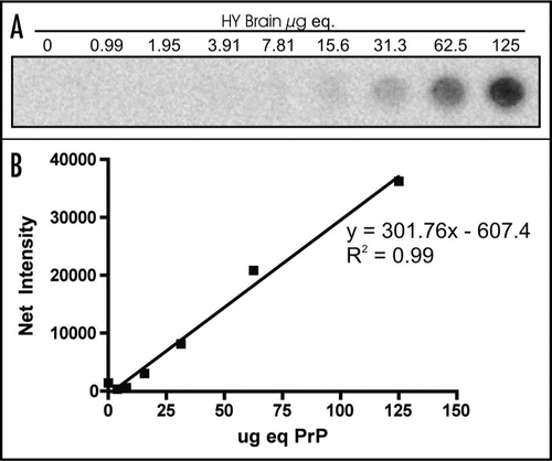 Figure 5 Linear range of PrPSc detection by 96-well immunoassay. (A) 96-well immunoassay and (B) quantification of PrPSc from 2 fold serial dilutions of HY TME-agent infected brain homogenate digested with proteinase K.