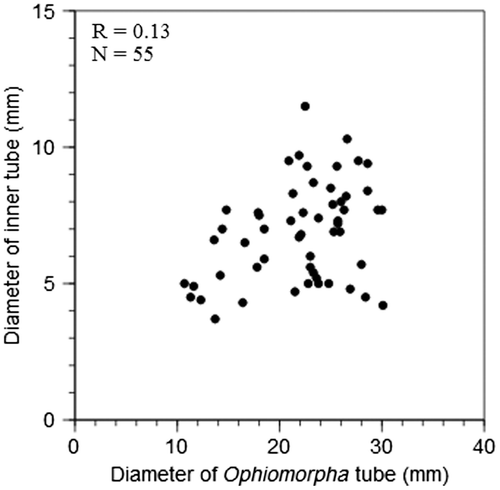 Figure 6. Scatter plot showing the relationship between outer tube diameter of Ophiomorpha and the diameter of the secondary inner tubes. The low correlation coefficient of 0.13 calculated through linear regression suggests that the diameter of the inner tube is largely independent of the diameter of the vertical shafts.