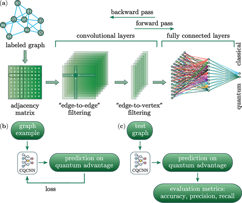 Figure 11. Schematic representation of CQCNN approach which is used for predicting the quantum speed up on the graphs represented in Figure 10. (a) – scheme of the CQCNN architecture. The neural network takes a labeled graph in form of an adjacency matrix as an input. The then processed by convolutional layers with filters of graph-specific ‘edge-to-edge’ and ‘edge-to-vertex’, respectively. These filters act as functions of a weighted total number of neighboring vertices of each vertex. The convolutional layers are connected with fully connected layers which classify the input graph. Data and error propagation are shown with arrows. (b) and (c) demonstrates processes of CQCNN training and testing, respectively.