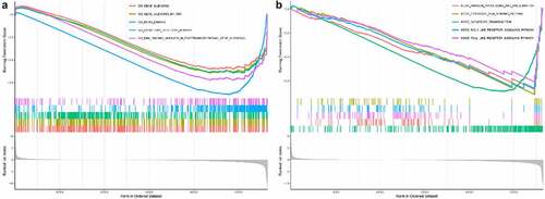 Figure 7. Bioinformatics analysis of METTL5 in GO and KEGG by Pan-Cancer. (a) GO assay of METTL5 by Pan-Cancer assay. (b) METTL5 KEGG assay.