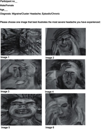 Figure 2 Visual tool tested on participants with cluster headache and migraine.