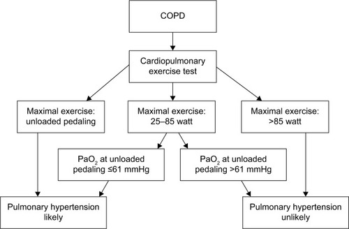 Figure 3 Flowchart for the evaluation of pulmonary hypertension in patients with COPD.