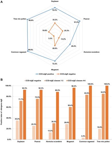 Figure 2 Relationship between plant allergen sensitisation and CCD-sIgE. (A) Radar charts of plant allergens sIgE in CCD sIgE-negative or CCD sIgE-positive patients, (B) the positivity of plant allergens sIgE in patients with different CCD classes. CCD-sIgE negative (n=91), CCD-sIgE positive (n=79), CCD-sIgE classes 1–3 (n=53), CCD-sIgE classes 4–6 (n=26).