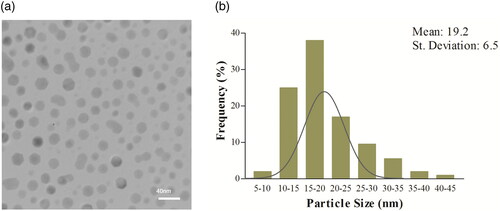 Figure 2. (a) TEM image of Bi2O3 NPs. (b) Size distribution of the NPs from analyzing 200 NPs using the ImageJ software.