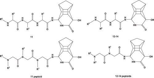 Figure 2.  PCU-lactampeptide and peptoid derivatives 11–14 tested for inhibition of wild type C-SA HIV-1 protease.