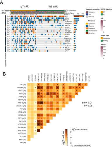 Figure 2 (A) Genomic profiles of patients with colorectal cancer treated with ICIs.The top 20 genes with the highest mutation frequencies and the corresponding clinical information are shown in the figure. (B) Heatmap depicting the mutual exclusion co-occurrence analysis results for the top twenty mutated genes (*p<0.05; **p<0.01; and ****p<0.0001; Mann–Whitney U-test).