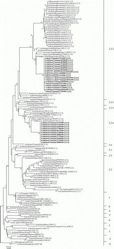 Figure 3.  Phylogenetic analysis of the HA gene of 125 H5N1 HPAI isolates.