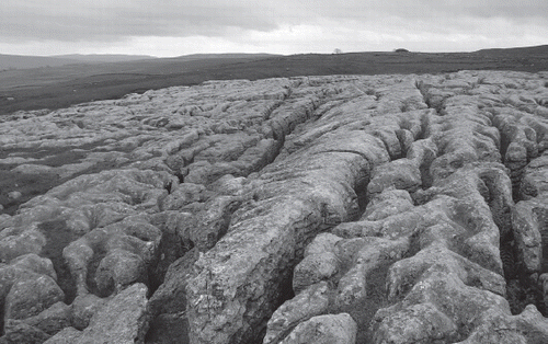 Figure 2. ▪Fissured limestone in the Yorkshire Dales. Photo Holger Hartung
