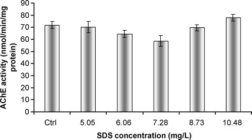 Figure 3 In vivo effects of SDS on acetylcholinesterasic activity of total head homogenates of G. holbrooki. Values are the mean of three replicate assays and corresponding standard error bars. *-Significant differences, p < 0.05.