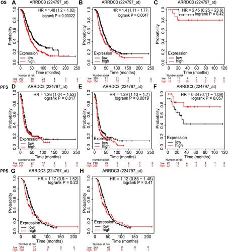 Figure 2 Survival analysis of ARRDC3 in ovarian cancer by OS, PFS, PPS as well as stratified analysis by serous carcinoma and endometrioid carcinoma types. (A–C) Survival analysis of ARRDC3 in ovarian cancer by as well as stratified analysis by serous carcinoma and endometrioid carcinoma types, respectively; (D–F) survival analysis of ARRDC3 in ovarian cancer by PFS well as stratified analysis by serous carcinoma and endometrioid carcinoma types, respectively; (G and H) survival analysis of ARRDC3 in ovarian cancer by PPS well as stratified analysis by serous carcinoma type, respectively.