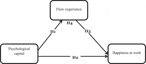 Figure 1. Conceptual model.