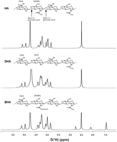 Figure 1. 1 H NMR spectra of HA, DHA and BHA. Polysaccharides were prepared at a concentration of 15 mg mL– in D2O. 1H NMR spectra of HA, DHA and BHA were recorded at 348 K with a 500 MHz spectrometer. HA: hyaluronic acid; DHA: partially deacetylated HA; BHA: partially butylated HA; GlcA: d-glucuronic acid; GlcNAc: N-acetyl-d-glucosamine; GlcN: d-glucosamine; GlcNBu: N-butyl-d-glucosamine.