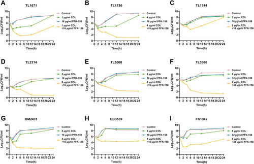Figure 1 Time-killing curves of colistin and PFK-158 alone or in combination against 9 colistin-resistant GNB. (A) TL1671, (B) TL1736, (C) TL1744, (D) TL2314, (E) TL3008, (F) TL3086, (G) BM2431, (H) DC3539, (I) FK1342.