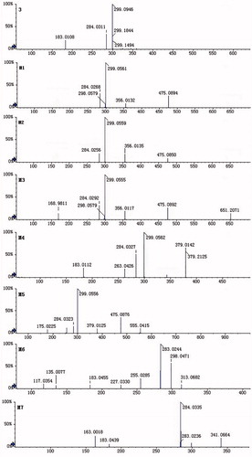 Figure 3. Representative MS/MS spectra: 3, m/z 299; M1, m/z 475; M2, m/z 475; M3, m/z 651; M4, m/z 379; M5, m/z 555; M6, m/z 313; M7, m/z 341.