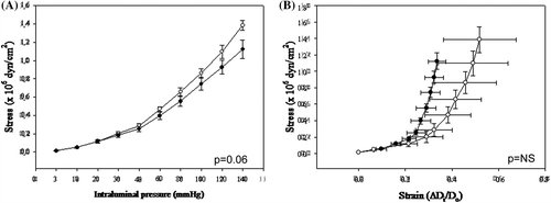 Figure 2. Mechanic properties of subcutaneous small resistance arteries. Media stress (A) at different intraluminal pressures in relaxed subcutaneous small resistance arteries from normotensive and hypertensive obese patients (considered together) before and after weight loss. (B) Media stress–strain relationship in relaxed subcutaneous small resistance arteries from normotensive and hypertensive obese patients (considered together) before and after weight loss. Results are expressed as mean ± SEM. Full circle: obese patients at baseline; empty circle: obese patients after weight reduction.