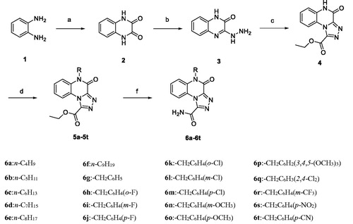 Scheme 1. Reagents and conditions: (a) oxalic acid, HCl/H2O, 100 °C, 2 h; (b) Hydrazine hydrate, 100 °C, 2 h; (c) Diethyl oxalate, reflux, 3 h; (d) RX, K2CO3, DMF, 60 °C, 3 h; (e) NH3·H2O, methanol, r.t., 2 h.