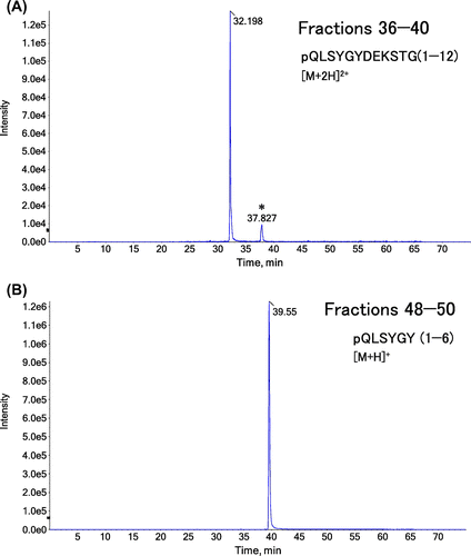 Fig. 4. XICs in LC–MS/MS analysis of purified collagen digested with pepsin.