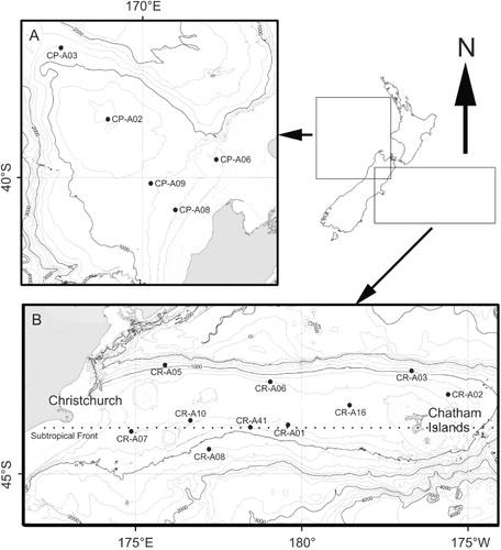 Figure 1 Location of study sites. A, On the Challenger Plateau; B, on Chatham Rise. The dotted line on the Chatham Rise map is the approximate location of the Subtropical Front (44°S).