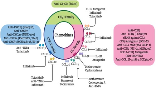 Figure 2 Effect of current RA therapies on chemokines as well as the current chemokine targeted therapies in RA. Closed arrows indicate antagonism.