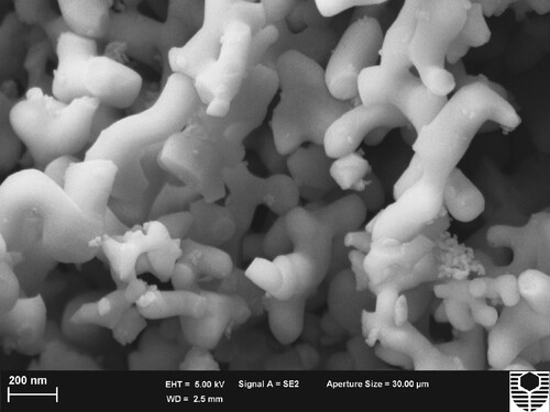 Figure 1. SEM micrograph of nano-alumina particles.