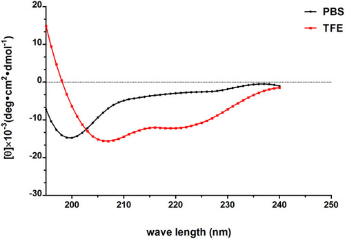 Figure 12 The secondary structure of Melectin in different environments was analyzed according to CD spectra; 50 µM Melectin was dissolved in 10 mM PBS or 50% TFE, respectively, then the spectra of the Melectin solutions were recorded between 195 nm and 240 nm.