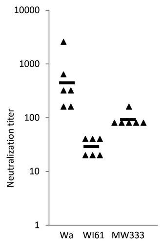 Figure 2. Rotavirus-specific neutralizing activity in sera of gnotobiotic piglets vaccinated with heat-inactivated CDC-9 strain. Six animals were intramuscularly immunized three times with IRV and neutralizing activity in serum was measured using a microneutralization assay.Citation15 Individual neutralization titers and GMT of each group are shown by the characters “▲” and “▬,” respectively. In control, four piglets that received three doses of placebo vaccine all had undetectable titers (<20) of neutralizing activity against the three strains (data not shown).