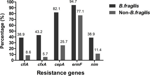 Figure 1 Prevalence of resistance genes among B. fragilis and non-B. fragilis isolates.