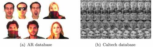 Figure 1. Sample from face recognition database.