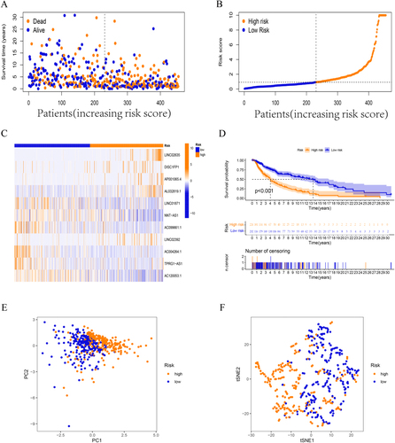 Figure 4 Validation of prognostic FAMs-related lncRNA signature. (A-C) The survival time/status, risk score, and (C) heatmap for the entire set. (D) Kaplan–Meier curve for the entire set. (E-F) PCA and tSNE test for the entire set.
