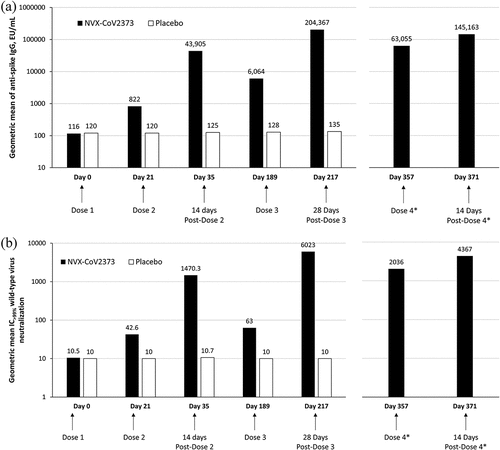 Figure 4. Study 2019nCoV-101 immunogenicity of NVX-CoV2373 over time [Citation36,Citation43]. (a) Geometric mean titer IgG response. (b) Geometric mean titer neutralizing antibody response. aIndicates that data were not reported for placebo. EU, enzyme-linked immunosorbent assay units; IC >99%, inhibitory concentration > 99%; IgG, immunoglobulin G; SARS-CoV-2, severe acute respiratory syndrome coronavirus 2.