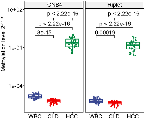 Figure 5. The methylation levels of GNB4 and Riplet were detected in HCC tissues, CLD tissues, and healthy WBC.