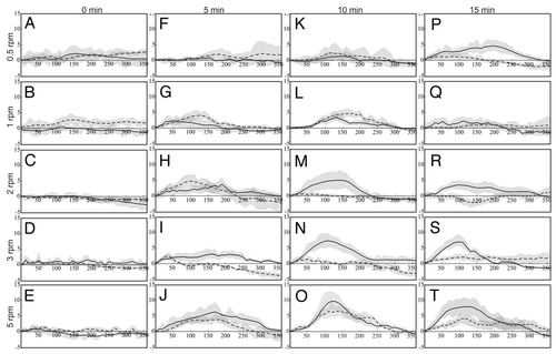 Figure 1 Curvature profile of 6 h horizontally (solid lines) and vertically (dashed lines) clinorotated, 32 h old flax roots. The columns represent the time of reorientation before the onset of clinorotation; rows represent the speed of clinorotation. Curvature (in degrees) is shown as the running average (n = 3) of degrees ± standard error, n = 15.