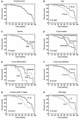 Figure 2 Overall survival analyses of colon adenocarcinoma patients. The overall survival of entire cohort is shown in (A), the 5-year overall survival rate is 82.0%. The effect of each clinicopathological parameter on patients’ survival is tested by Kaplan–Meier and log-rank test, including age (B), gender (C), tumor location (D), tumor differentiation (E), tumor size (F), tumor invasion depth (G), and TNM stage (H).