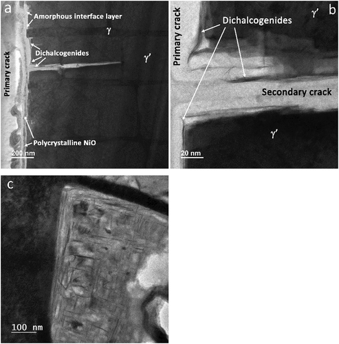 Figure 8. (a) BF-STEM image features common to primary and secondary cracks, (b) expanded BF-STEM view of a, and (c), BF-TEM image showing orthogonal arrays of MS2 films in a corroded γʹ precipitate (a & b 10 minute test and c, 2 hour exposure).
