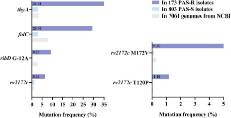 Figure 2 rv2172c T120P and M172 V mutations are enriched in the PAS-resistant (PAS-R) clinical isolates.