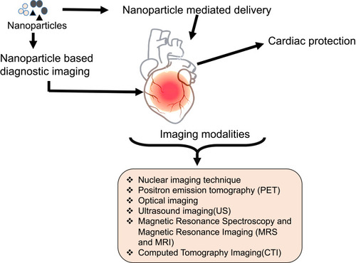 Figure 4 Nanoparticle-mediated diagnosis and imaging of CVDs.