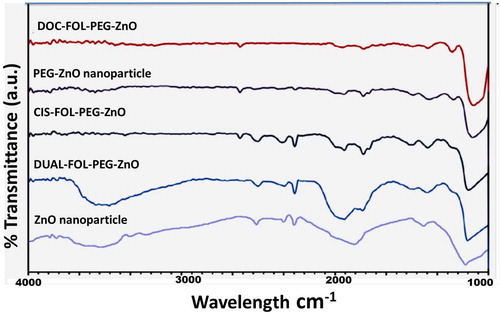 Figure 3. FTIR spectra of ZnO, PEG-ZnO, DOC-FOL-PEG-ZnO, CIS-FOL-PEG-ZnO and DUAL-FOL-PEG-ZnO.