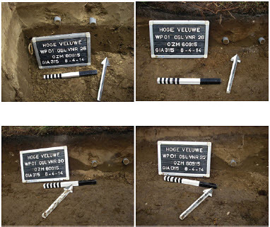 Plate V. A close up of the four dated OLS samples.