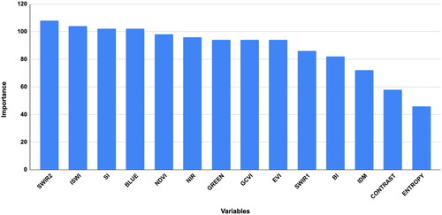 Figure 5. Variable importance scores of the classification features.