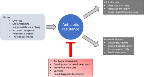 Figure 3 Concept scheme: causes and consequences of antibiotic resistance in clinical practice.