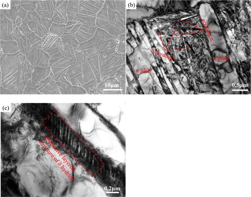 Figure 3. (a) SEM image and (b) and (c) TEM bright-field images showing the microstructure of the TMC sample.