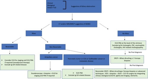 Figure 4 Algorithm for the assessment of patients with biliary obstruction.