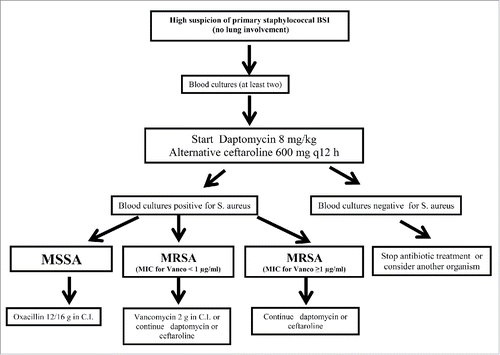 Figure 1. Treatment algorithm for empirical therapy of staphylococcal BSI